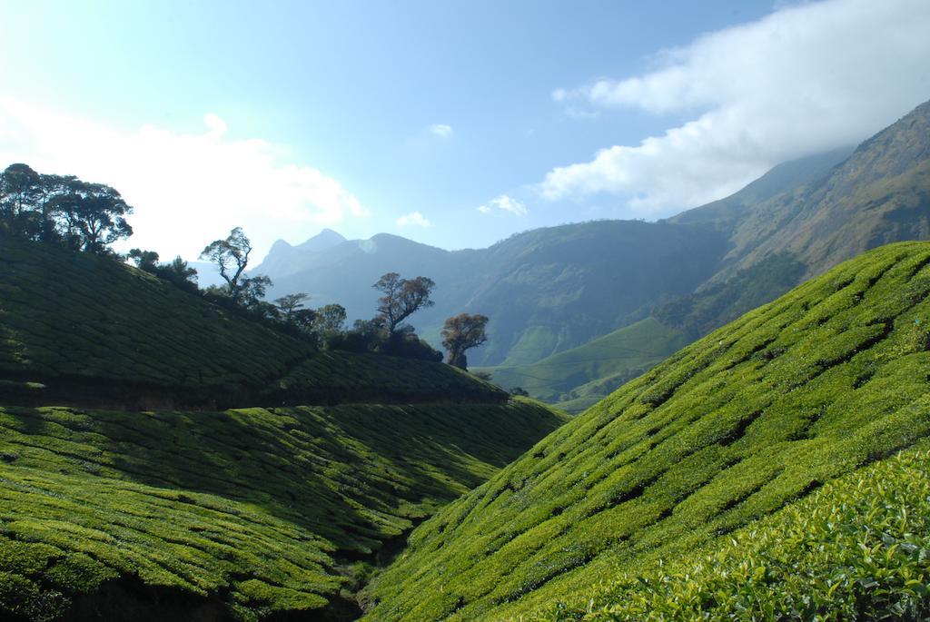 Holiday Heaven Munnar Chinnakanal Kültér fotó